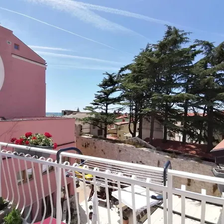 Felix, Novigrad, Istra