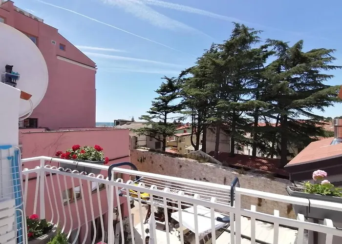 Felix, Novigrad, Istra